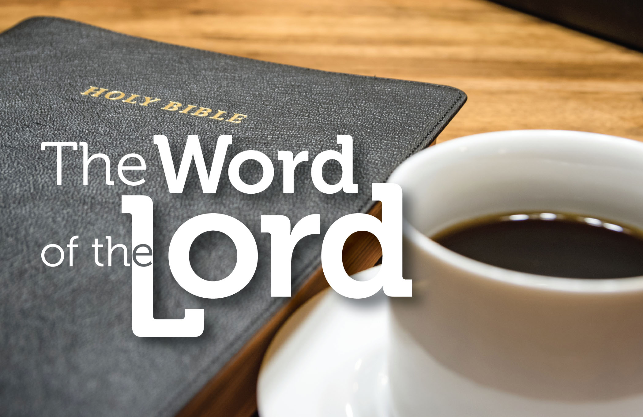 Bible Study