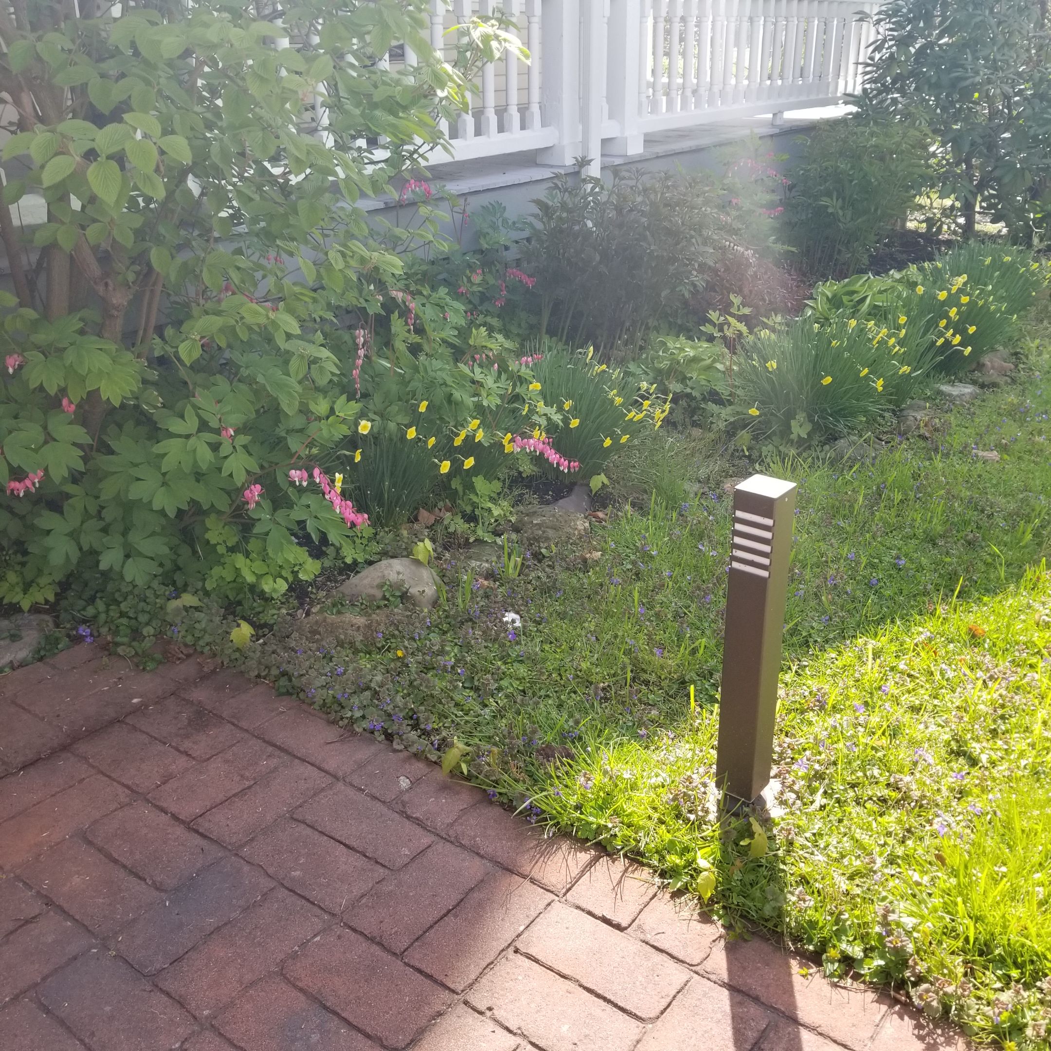 May 2020 Newsletter
