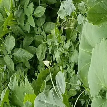 October 2020 Newsletter