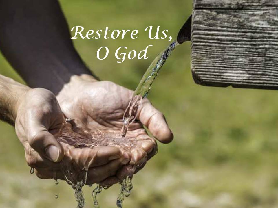This Sunday (October 4, 2020) at The Church of the Nativity and St. Stephen