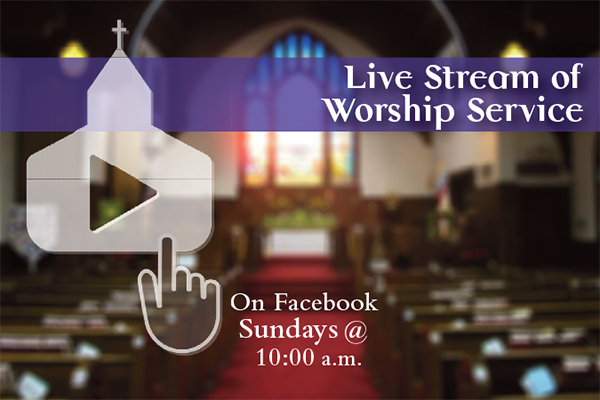 Live Stream Webslide