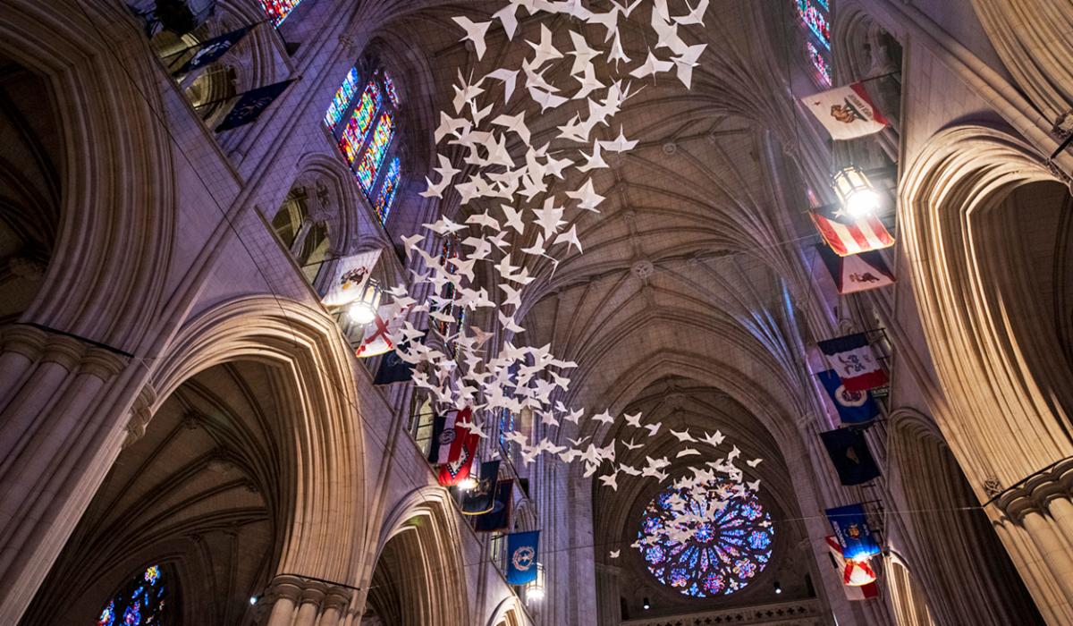 Doves installation
