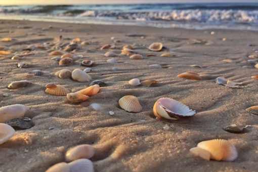 Hidden Beach Tours