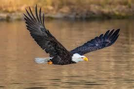 They Shall Run and Not be Weary (sermon) February 7, 2021