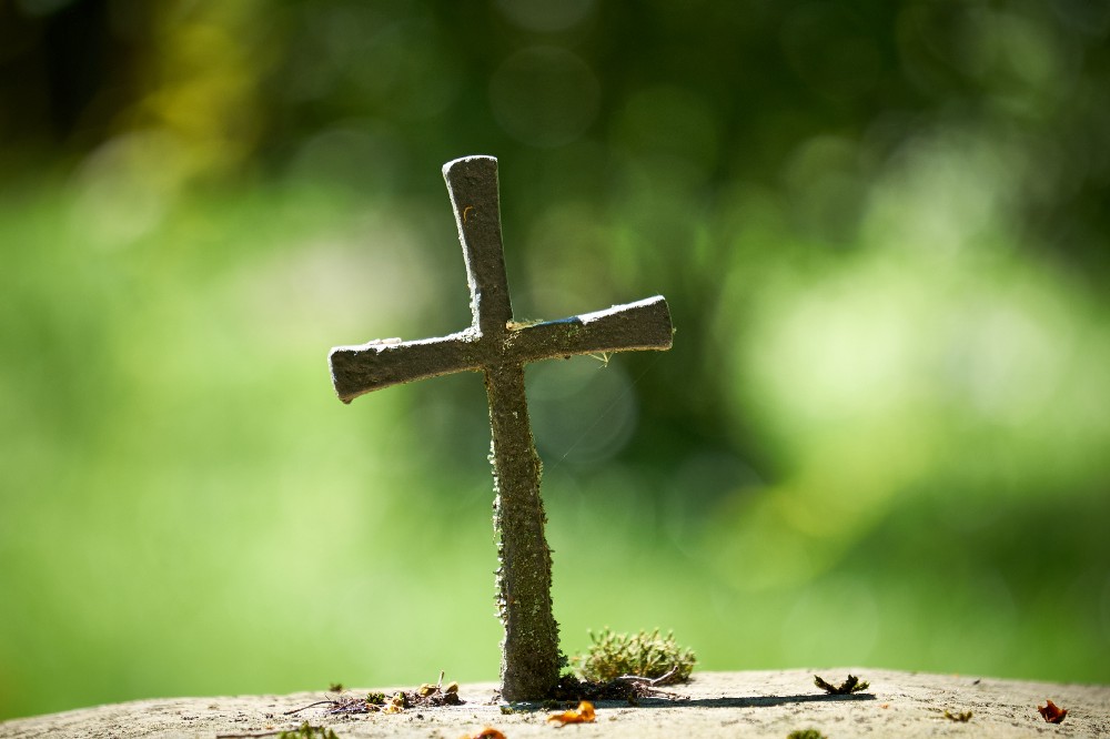 This Sunday (February 14, 2021) at The Church of the Nativity and St. Stephen