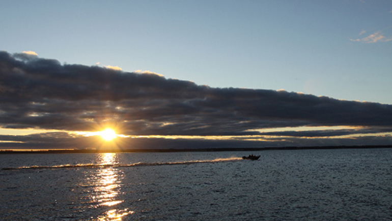 blog image