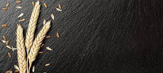 Lose Your Life to Save It (sermon) March 21, 2021