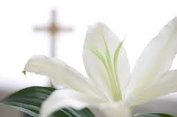 This Week (April 1, 2 and 4, 2021) at The Church of the Nativity and St. Stephen