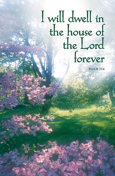 This Sunday (July 18, 2021) at The Church of the Nativity and St. Stephen