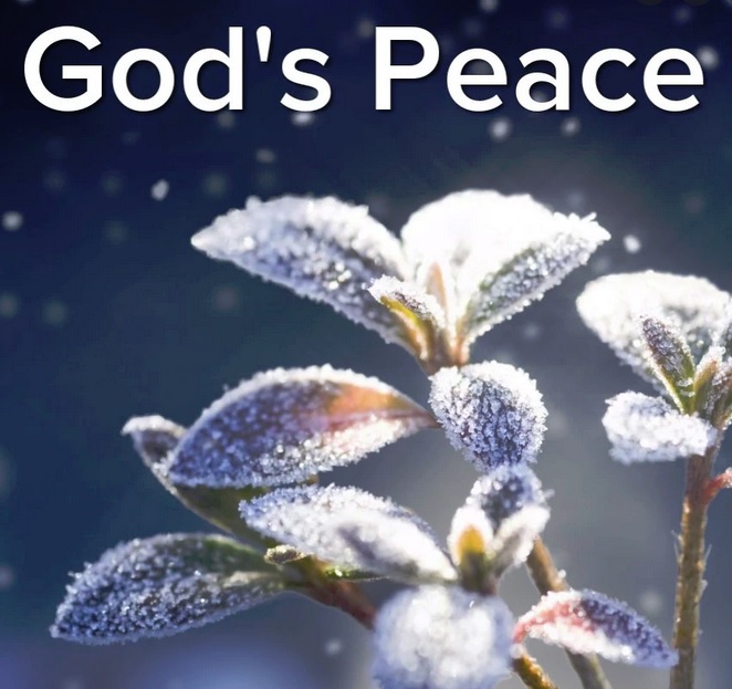 This Sunday (January 30, 2022) at The Church of the Nativity and St. Stephen