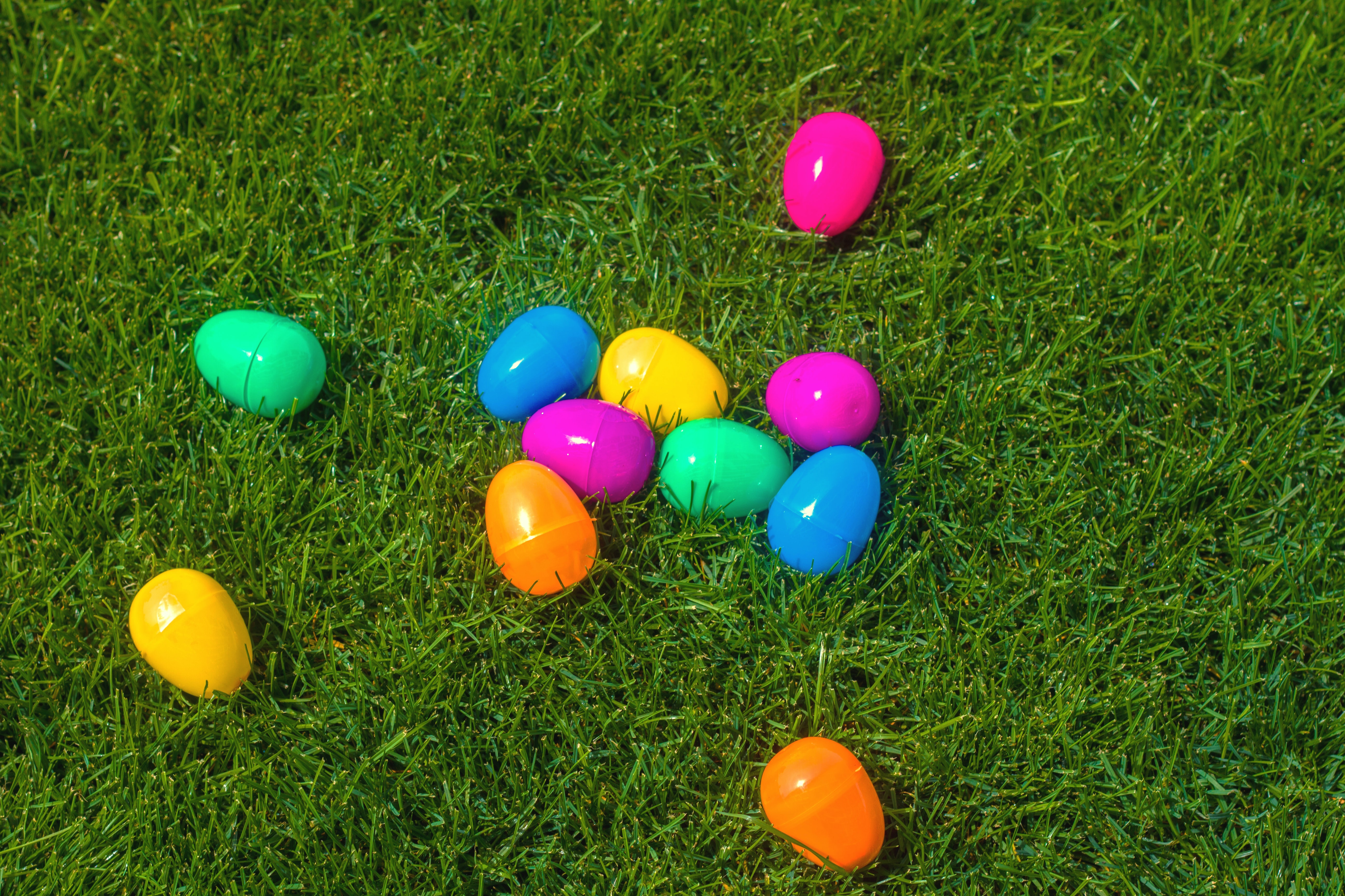 Easter egg hunt 