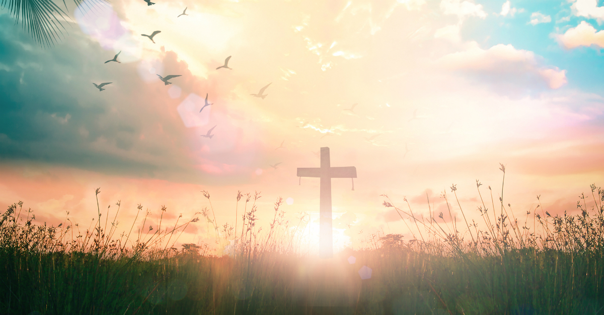 April 2022 Newsletter
