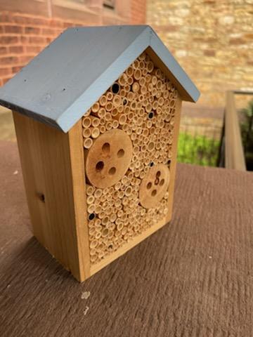 Creation Care - pollinators