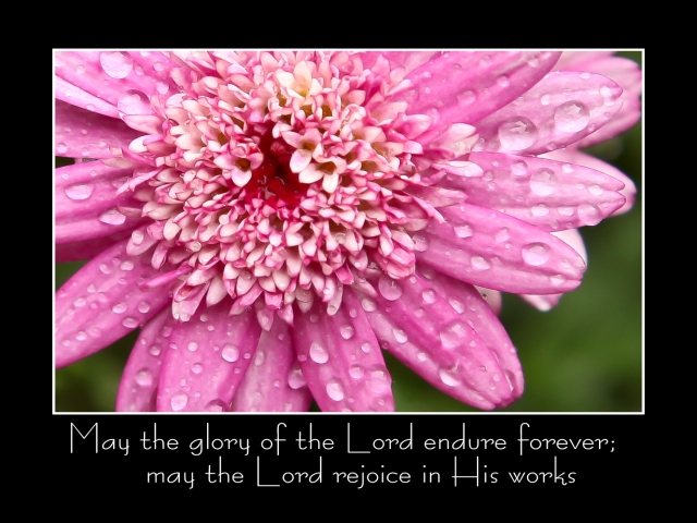 This Sunday (June 5, 2022) at the Church of the Nativity and St. Stephen