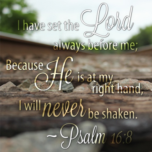 This Sunday (June 26, 2022) at the Church of the Nativity and St. Stephen