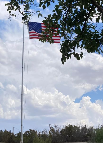 July 2022 Newsletter