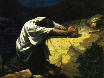 This Sunday (July 24, 2022) at the Church of the Nativity and St. Stephen