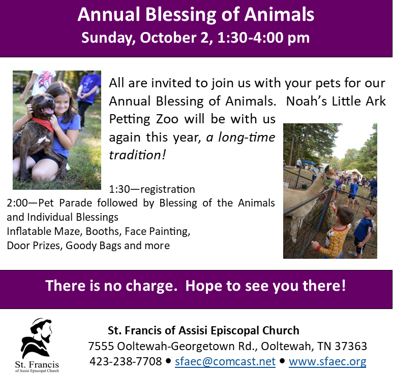 Annual Blessing of the Animals