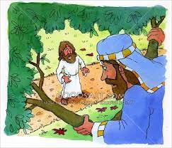 The Salvation of Zacchaeus (sermon) October 30, 2022
