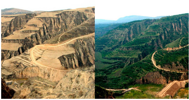 Regenerate the Deserts (sermon) December 11, 2022