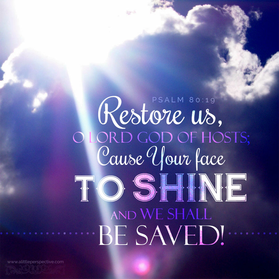 This Sunday (December 18, 2022) at the Church of the Nativity and St. Stephen