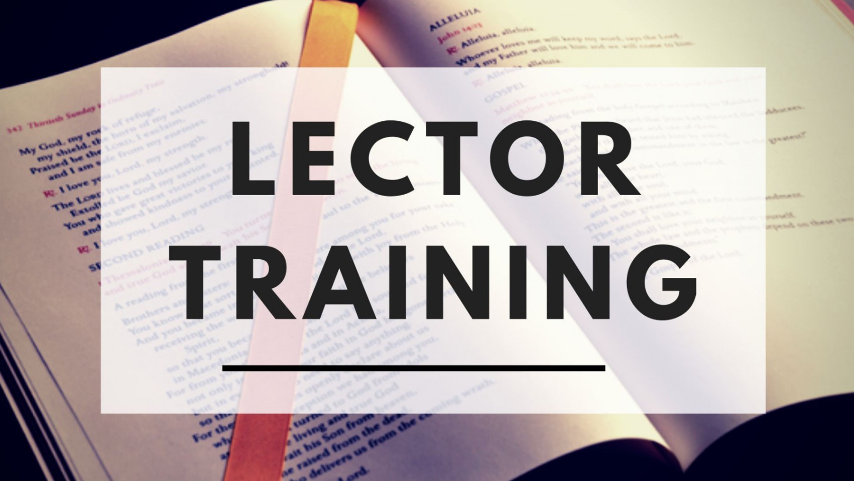 Lector_Training image