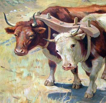 Sue Beamer (sermon) July 9, 2023