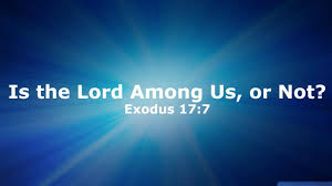 This Sunday (October 1, 2023) at The Church of the Nativity and St. Stephen