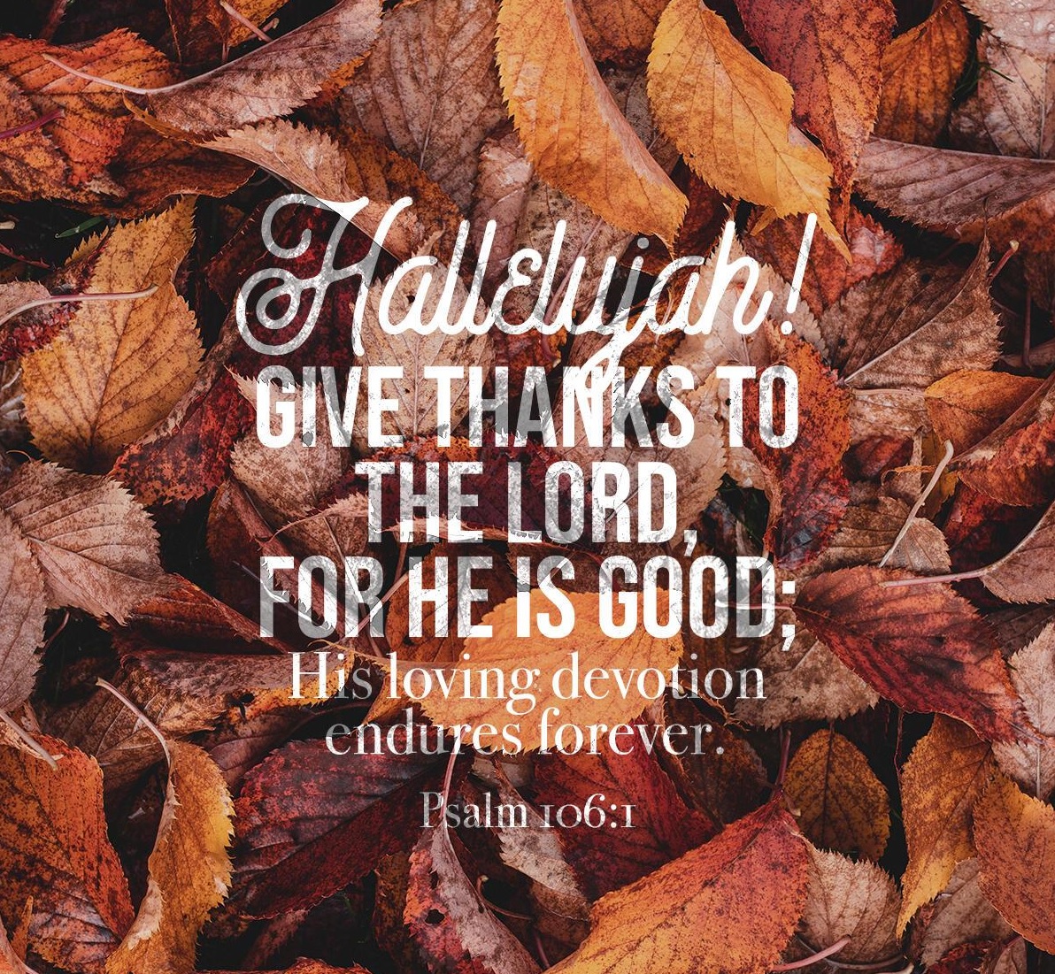 This Sunday, (0ctober 15, 2023), at The Church of the Nativity and St. Stephen