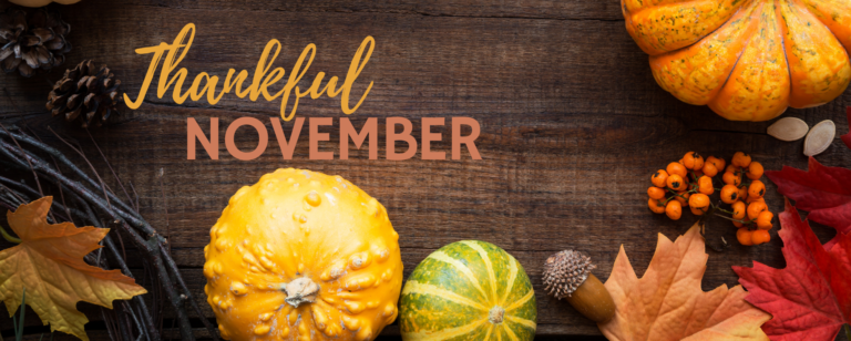 November 2023 Newsletter