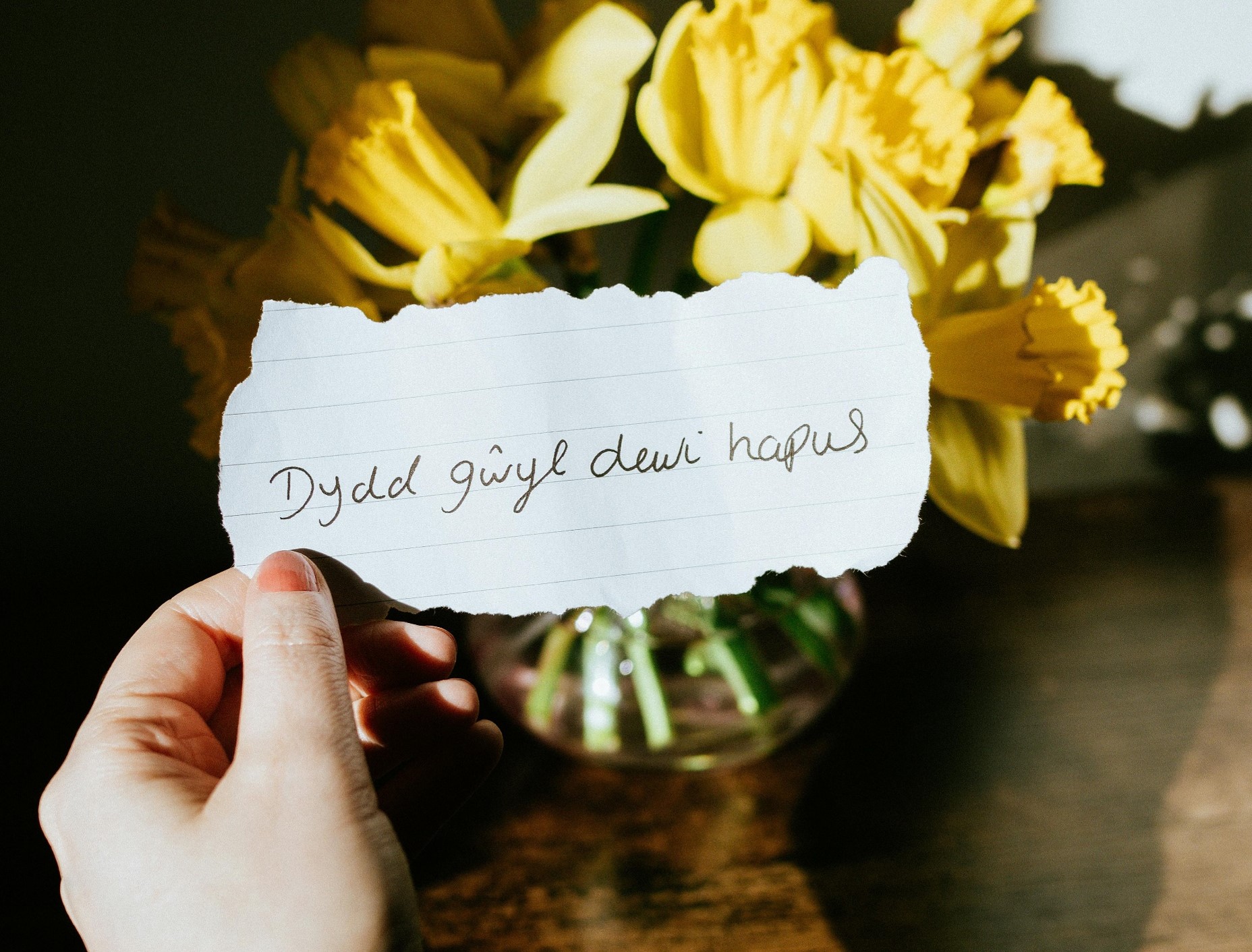 St. David's Day
