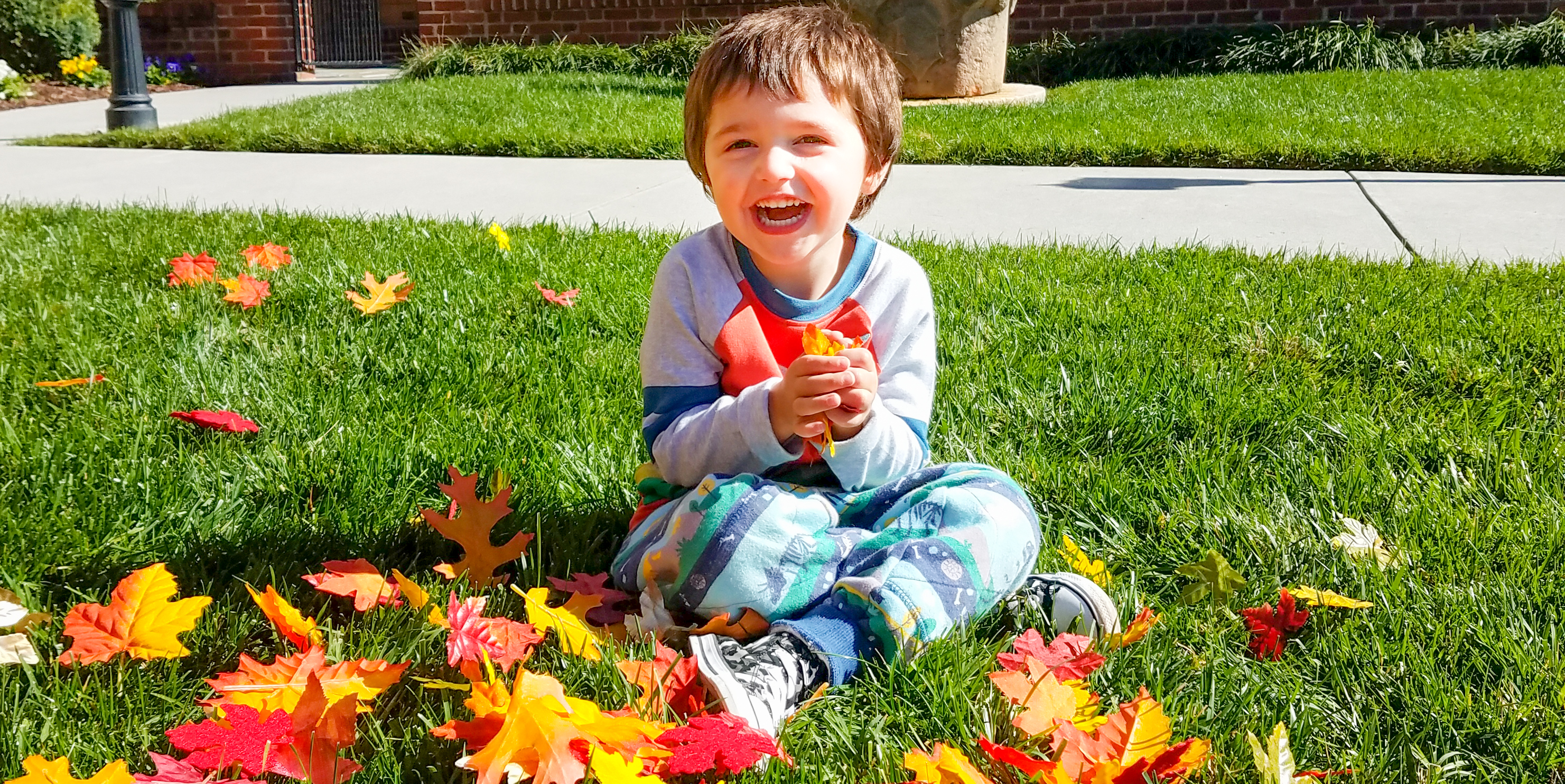 Fall_Leaves-4