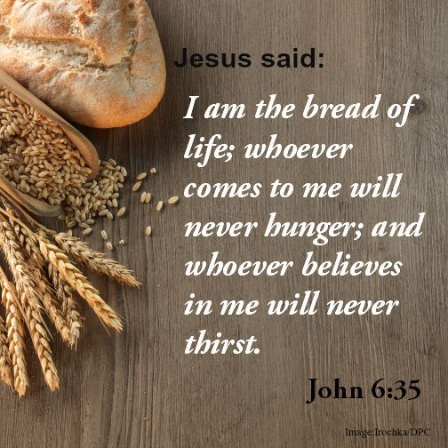 These Sunday (August 4 and August 11) at the Church of the Nativity and St. Stephen
