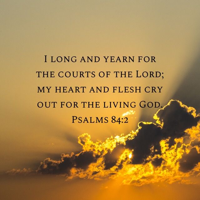 This Sunday, (August 25, 2024), at The Church of the Nativity and St. Stephen