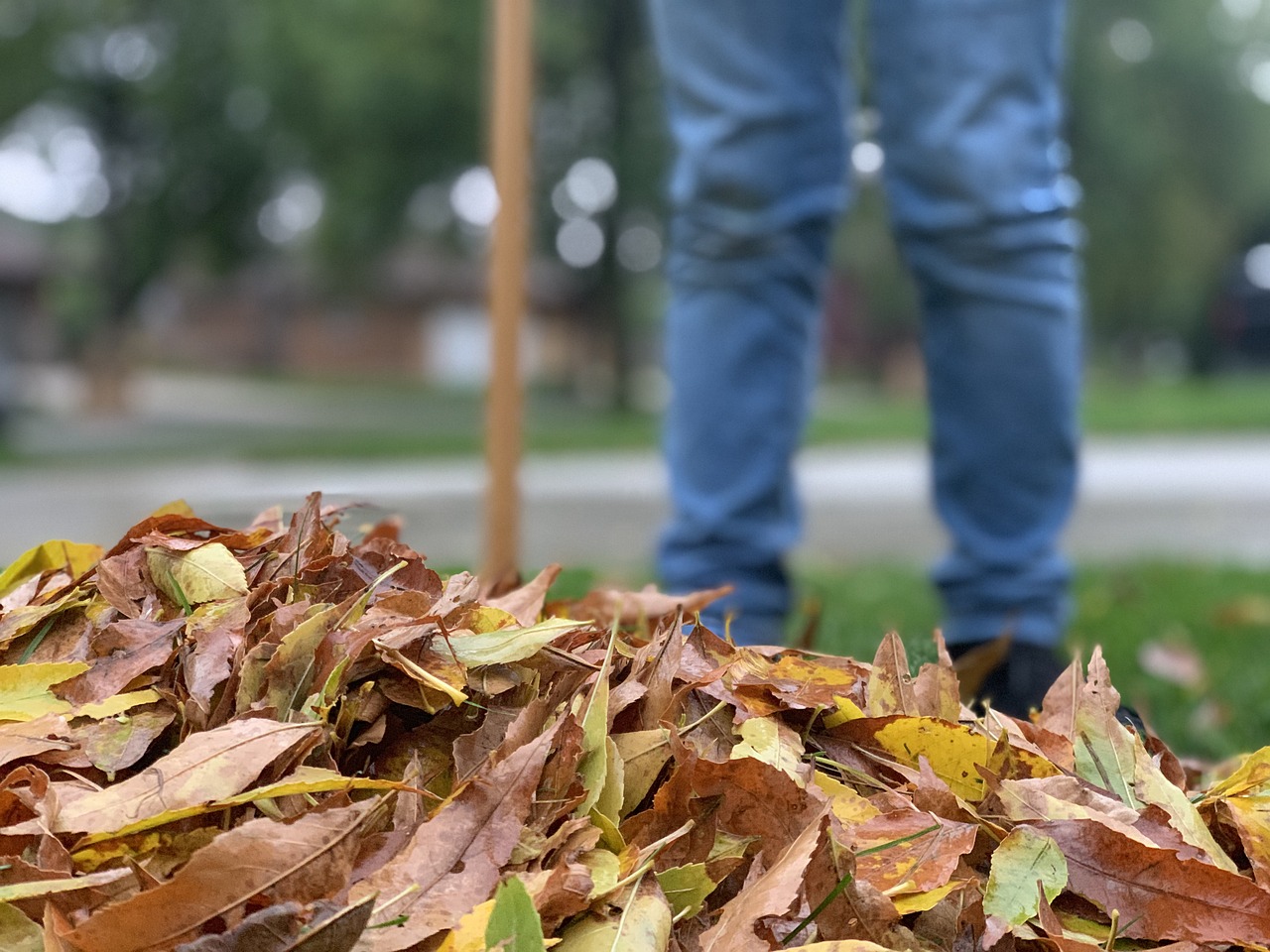 Fall Yard Clean-up Day
