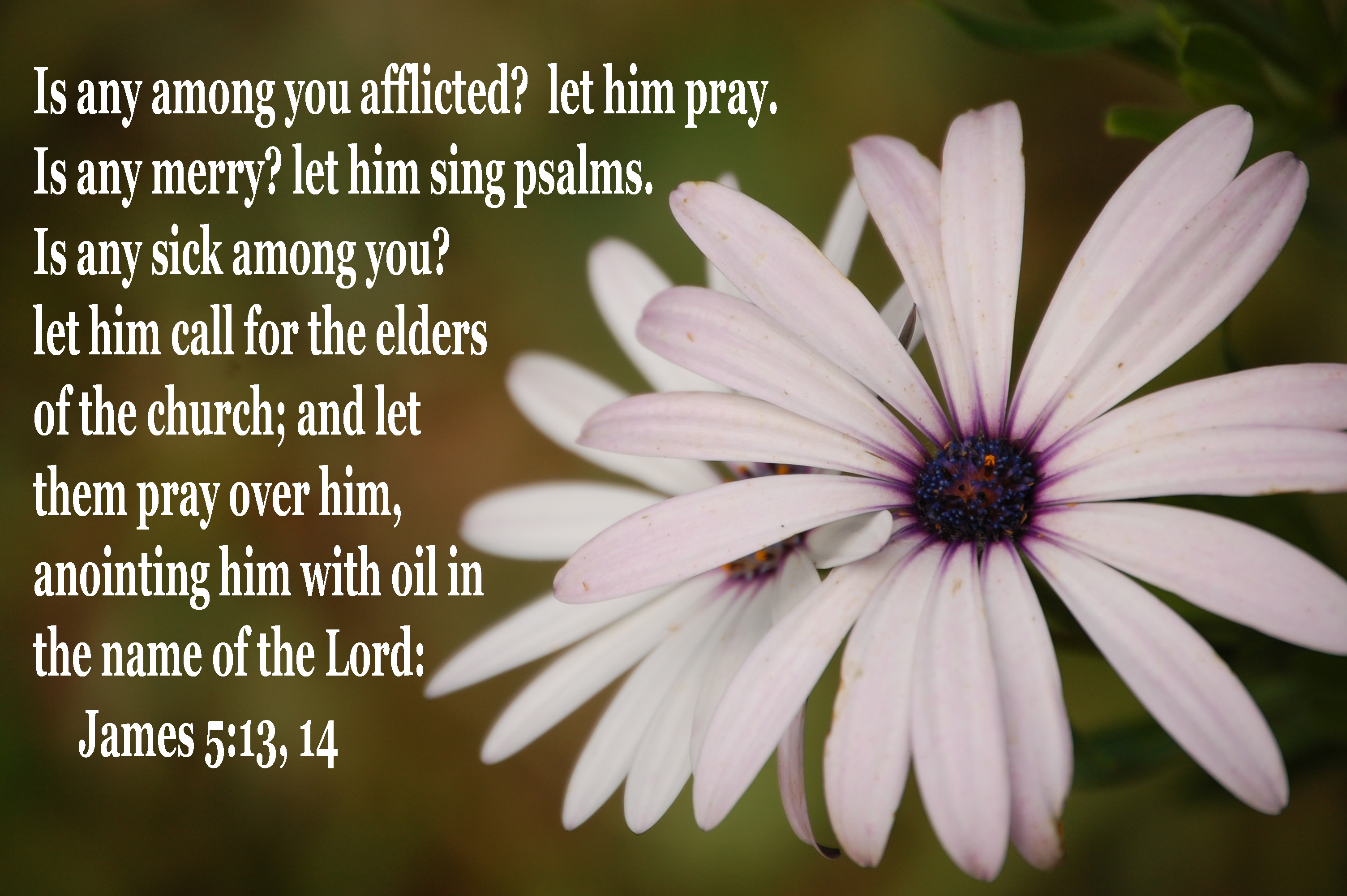 This Sunday, (September 29, 2024), at The Church of the Nativity and St. Stephen