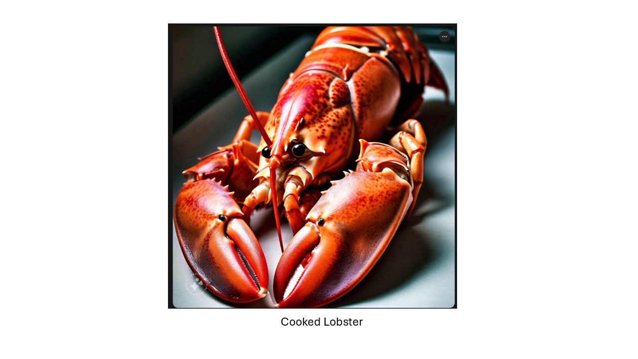 Cooked Lobster