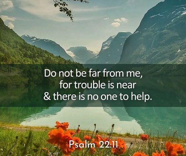 This Sunday, (October 13, 2024), at The Church of the Nativity and St. Stephen
