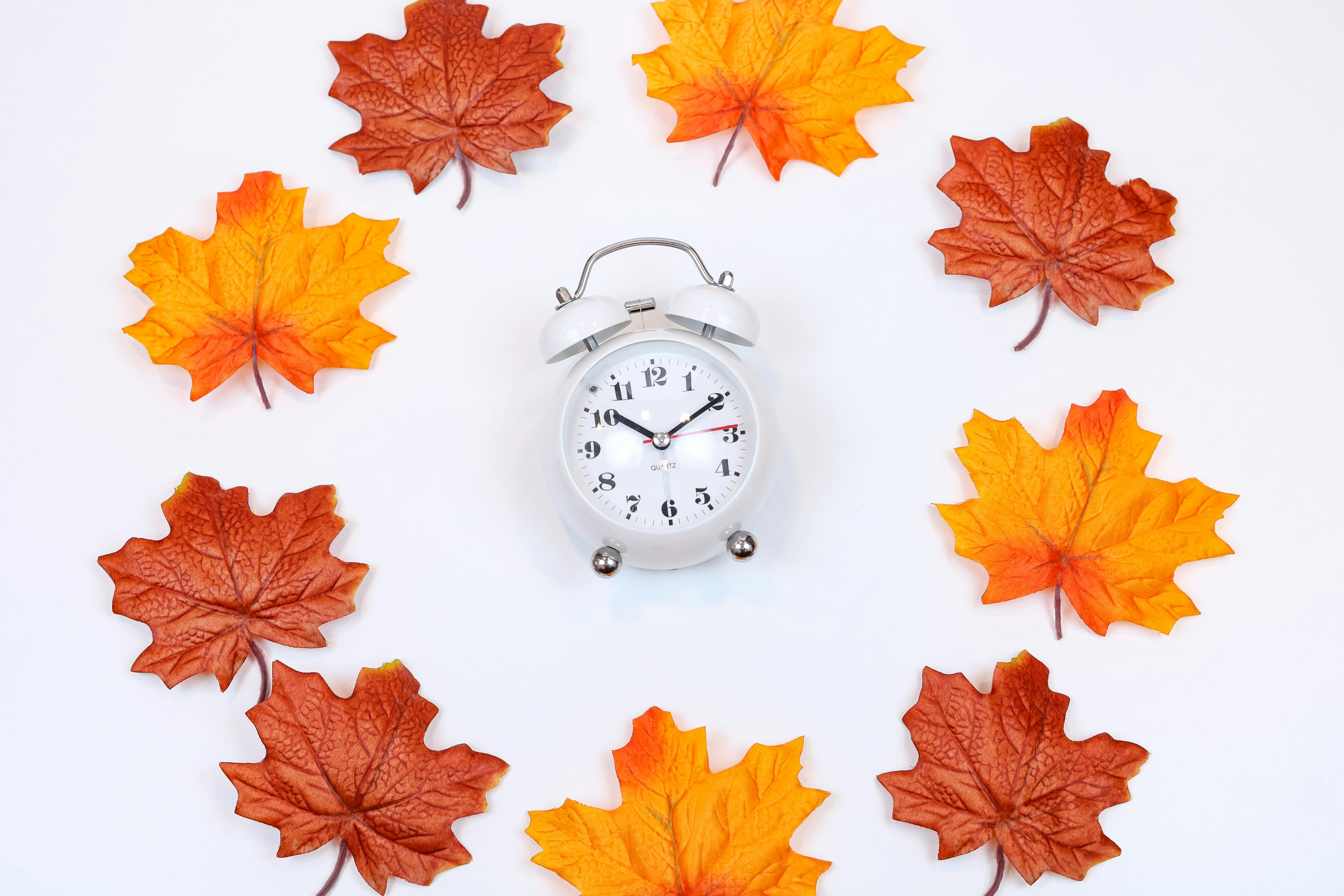 Fall Back - Daylight Savings Time