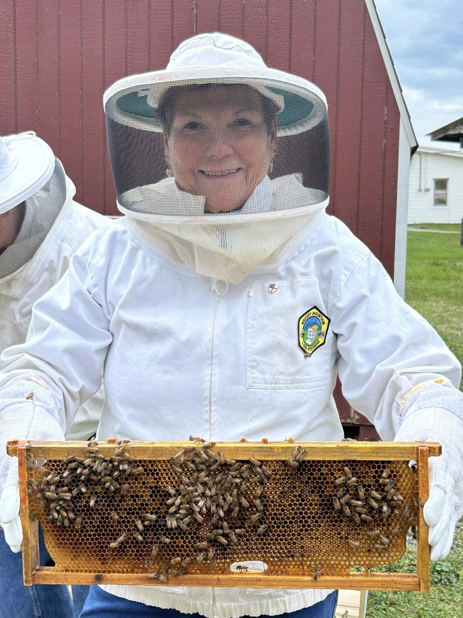 Bees
