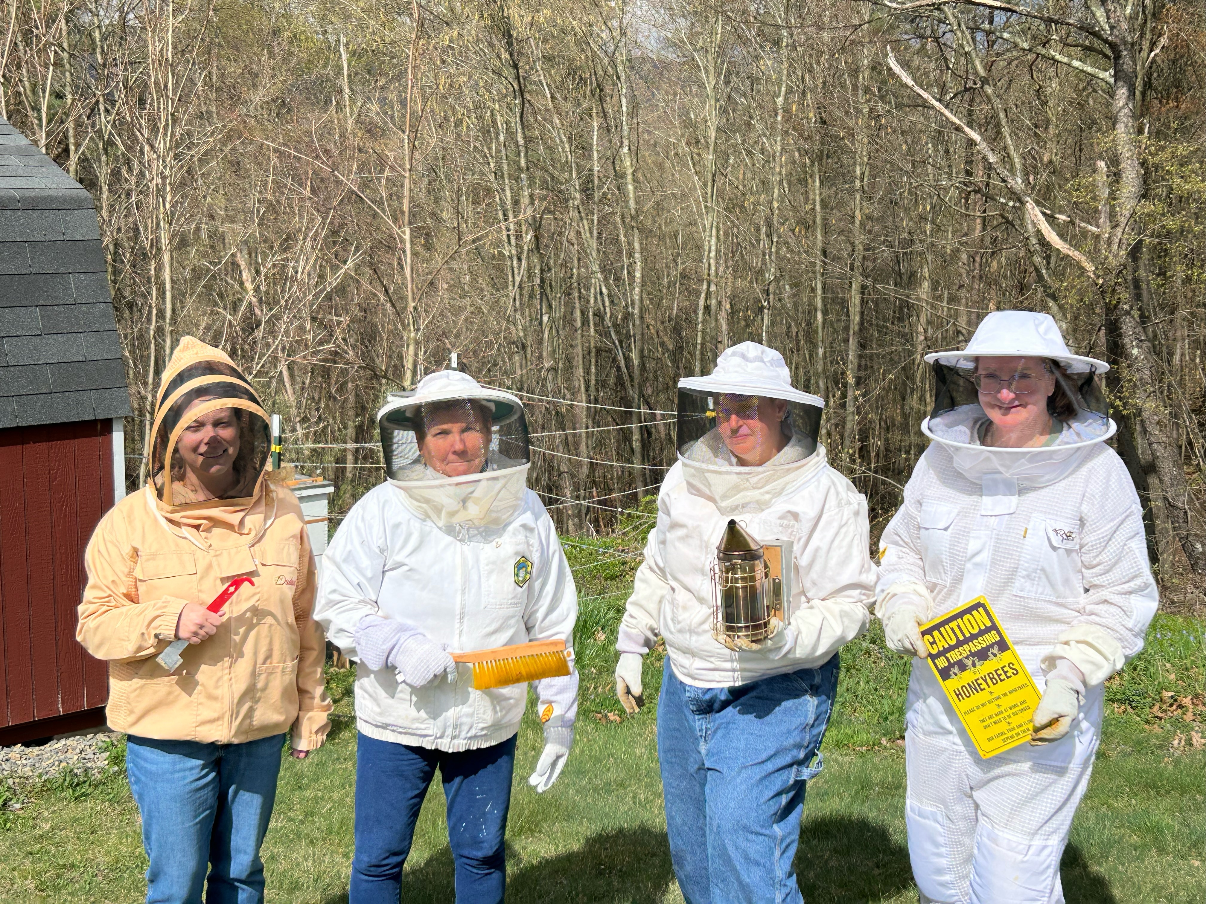 bees