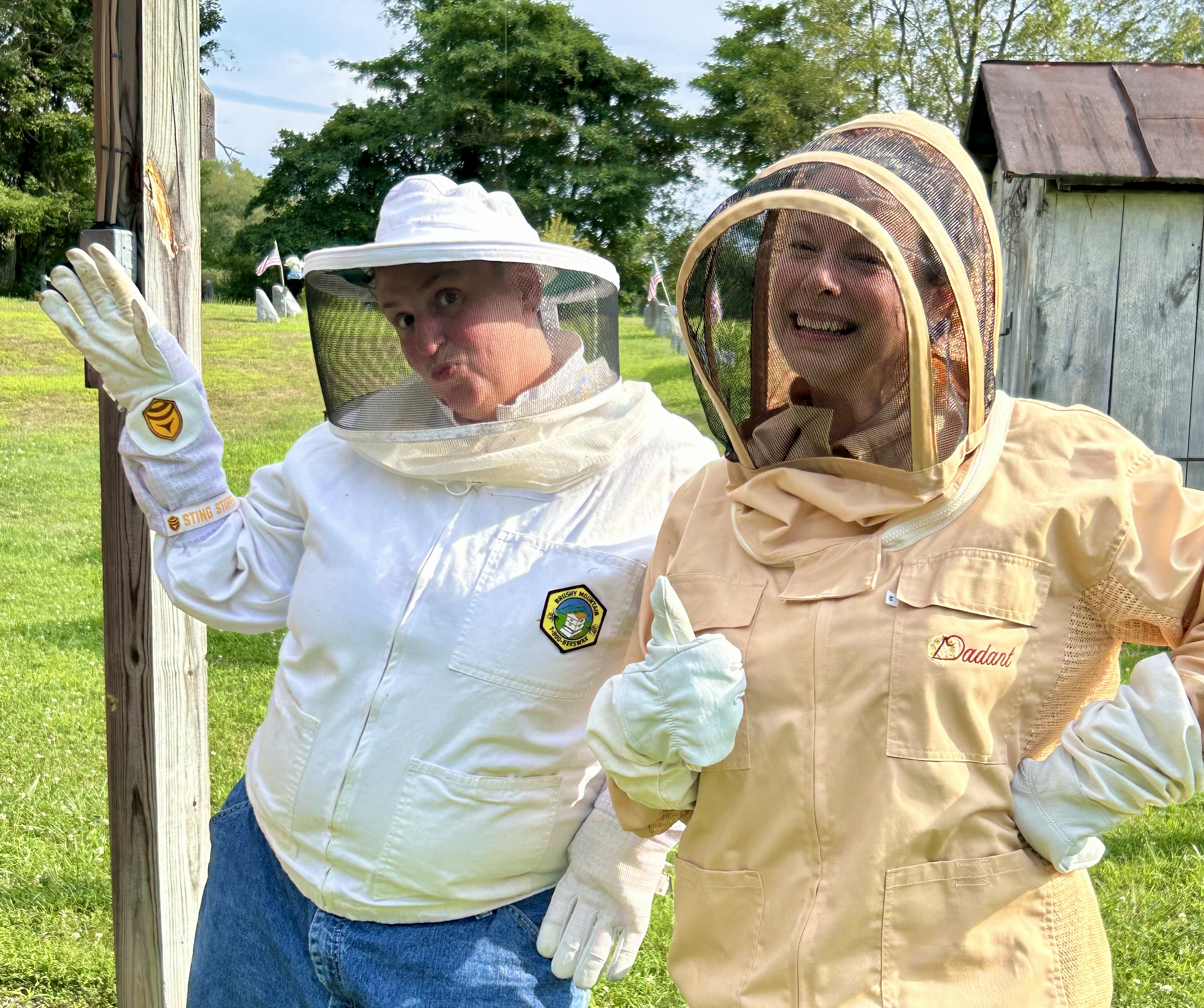 bees
