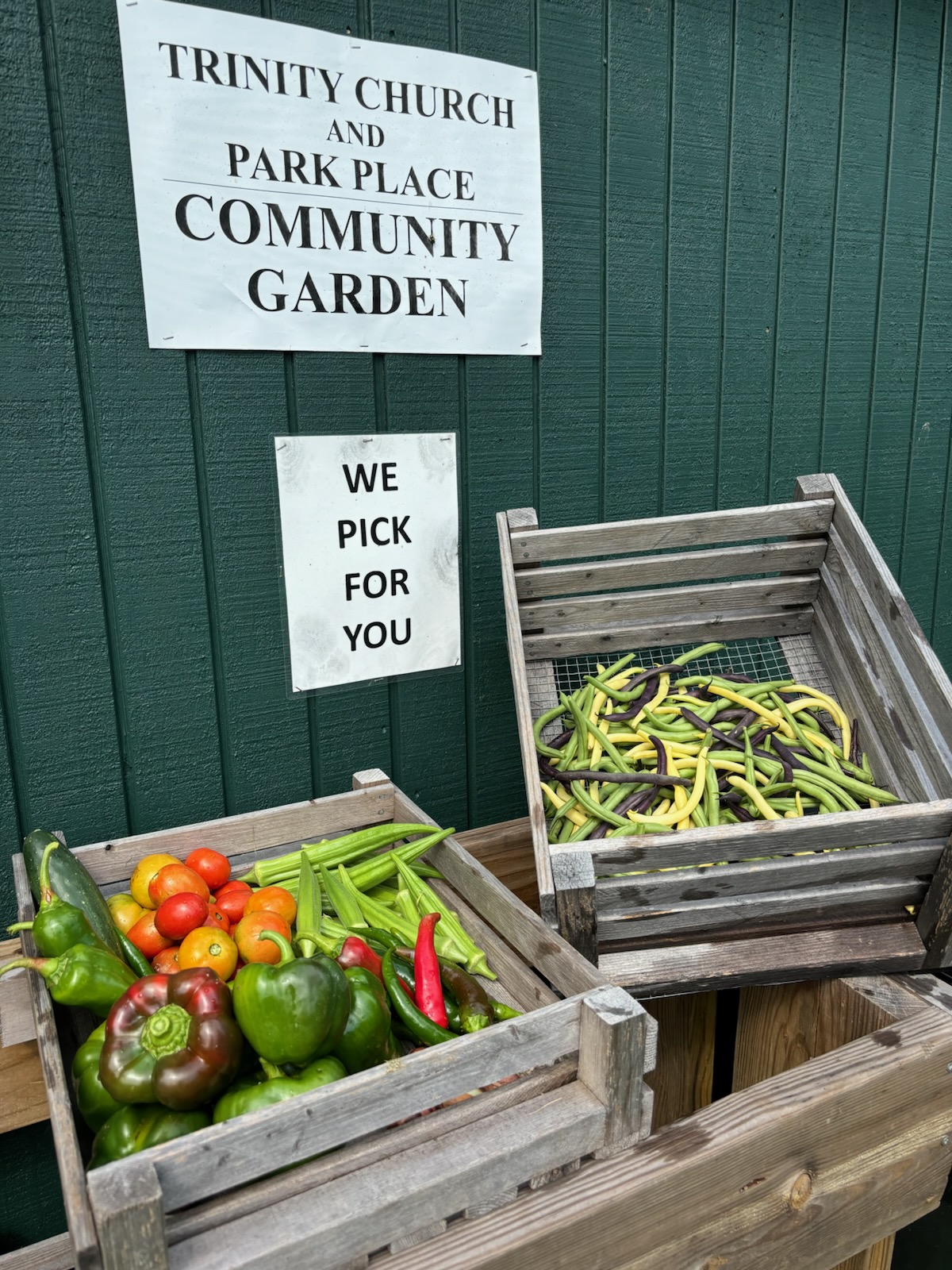 community garden
