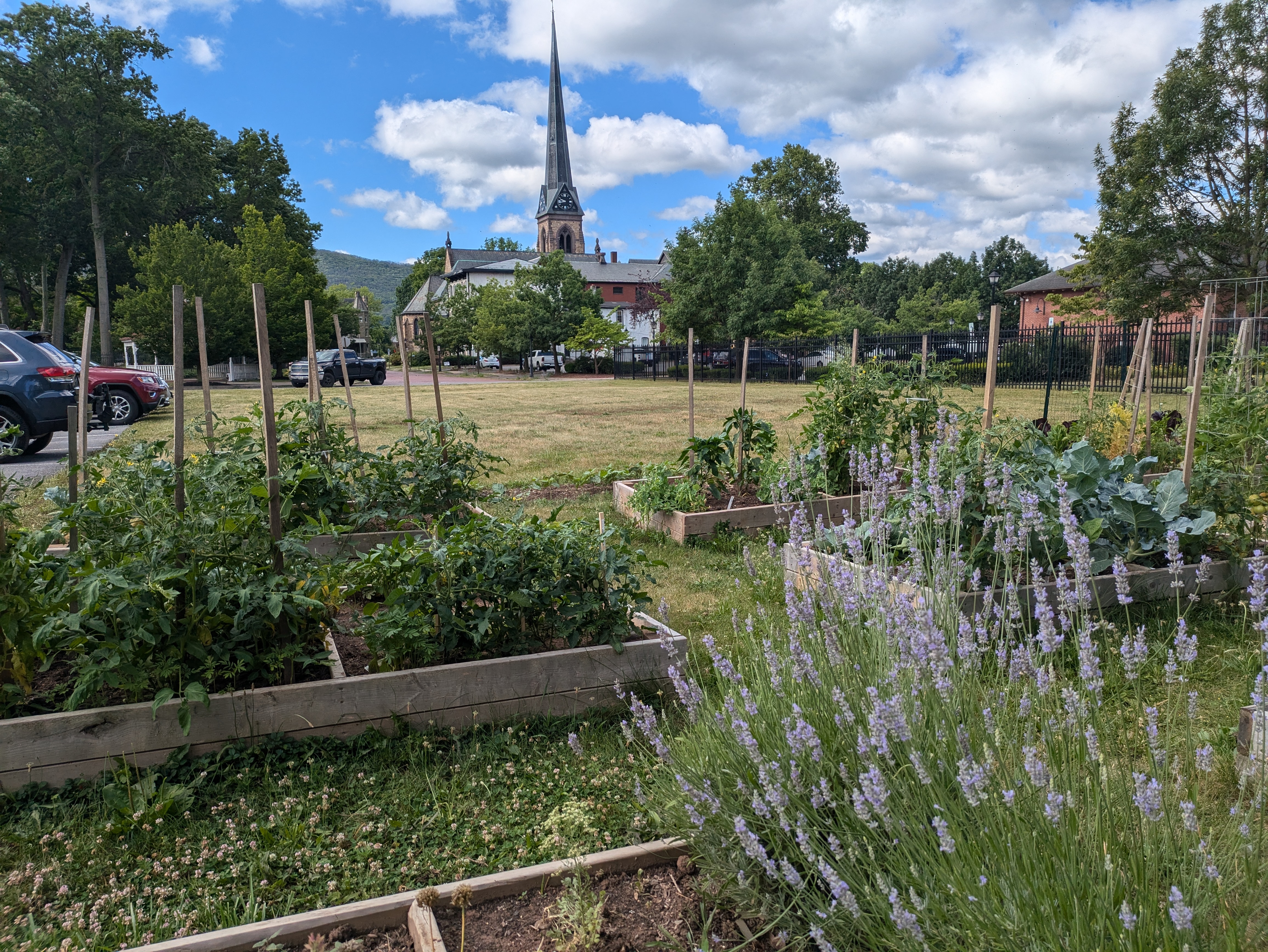 garden