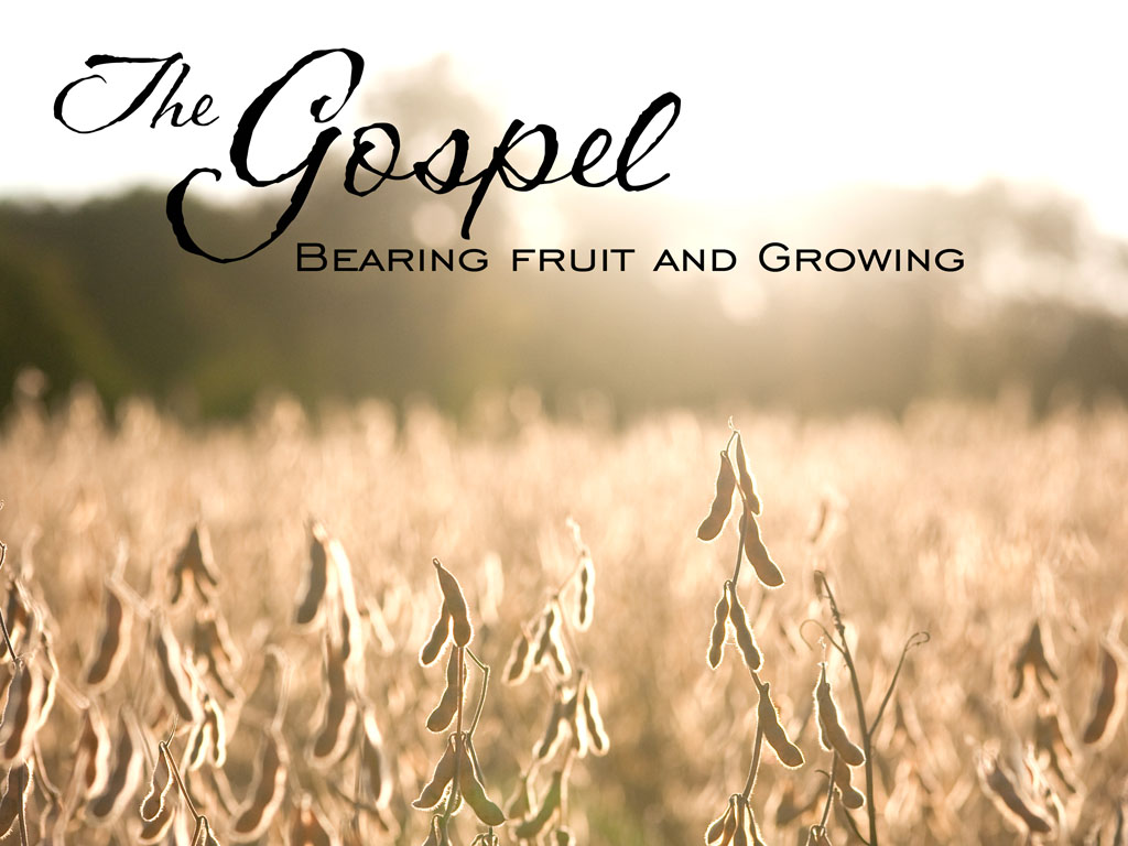 Sermon for the 5th Sunday after Pentecost