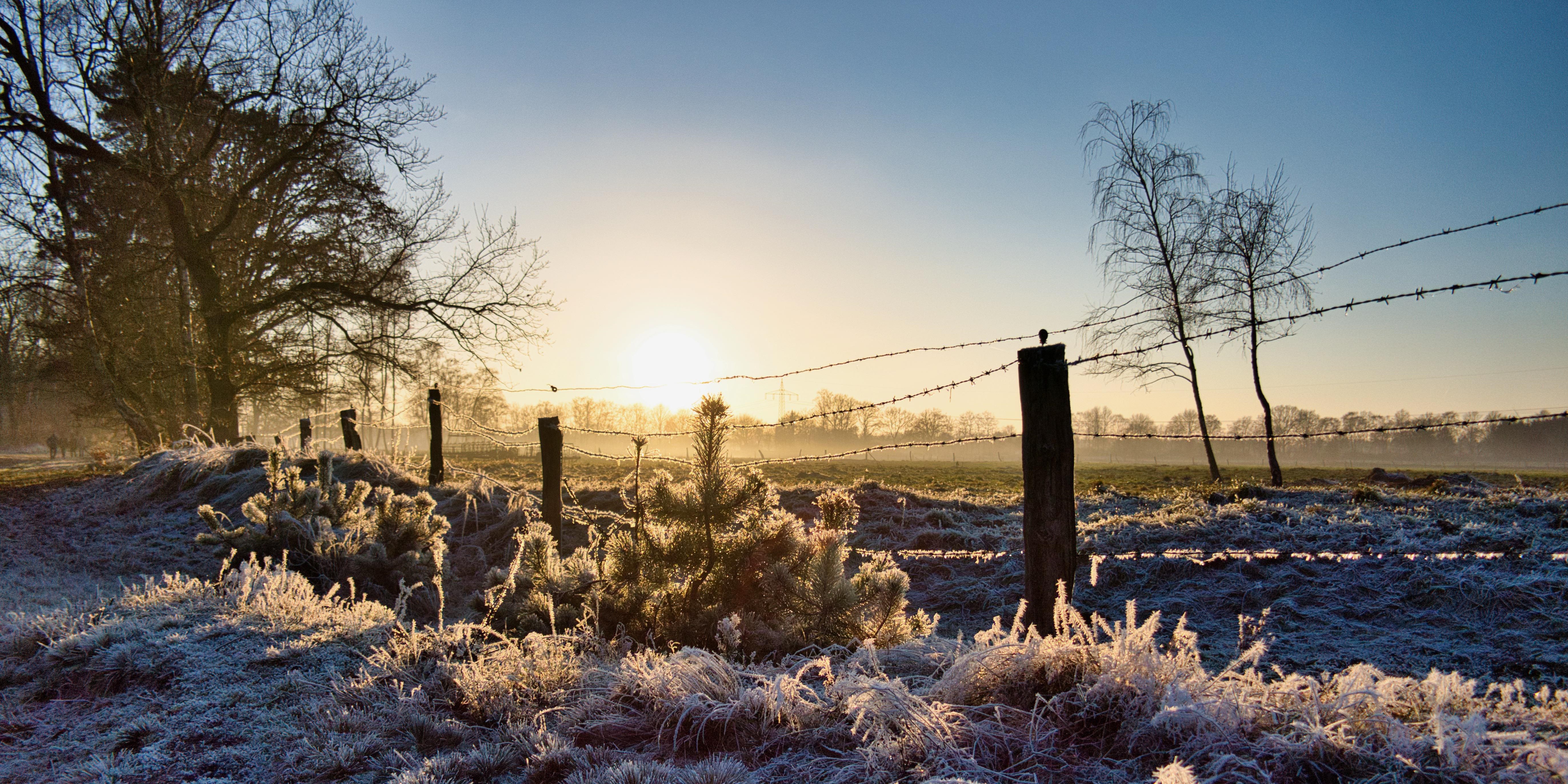 Celtic Celebration for the Winter Solstice