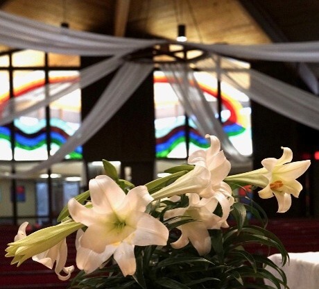 Picture1