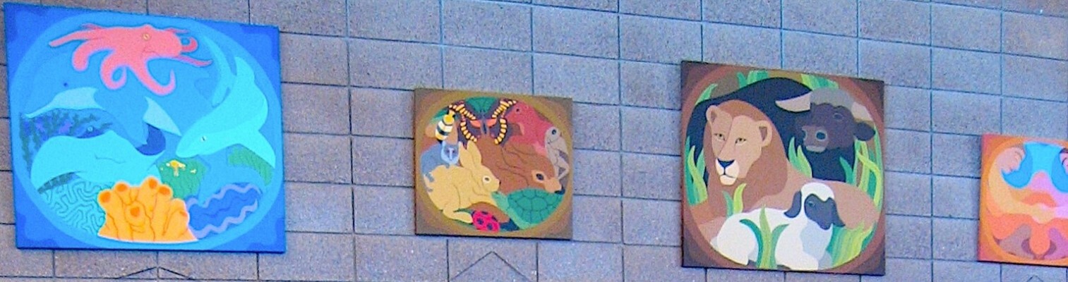 Picture5