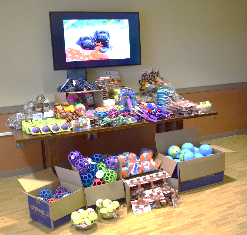 Toys donated for the Prison Pup Program