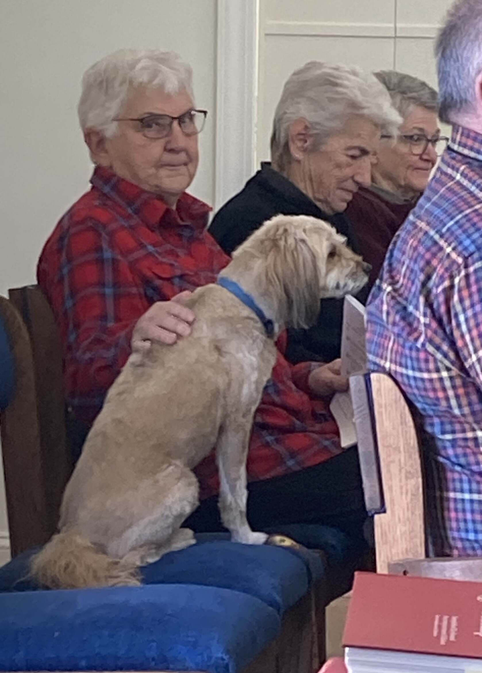 Toby in church
